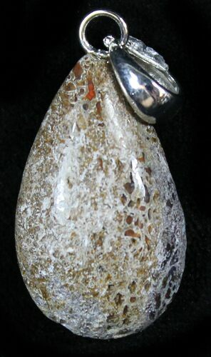 Teardrop Shaped Colorado Agatized Dinosaur Bone Pendant #27032
